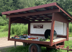 Hymers Farm Home stand