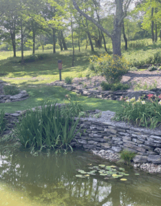Natural Gardens After 1