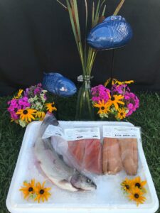 Skytop Springs Fish Farm 4