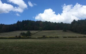 opdyke Farm 2