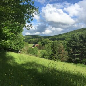 opdyke Farm 7