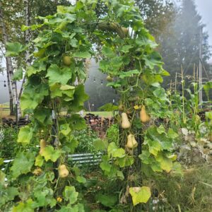 Van Meter Family Farm 5
