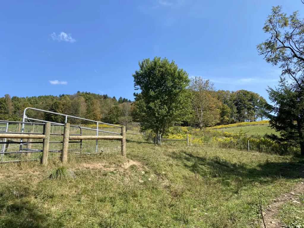 Healing Waters Farm