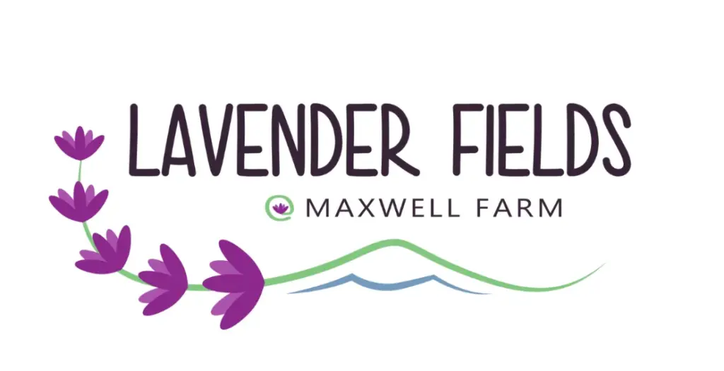 Lavender Fields at Maxwell Farm