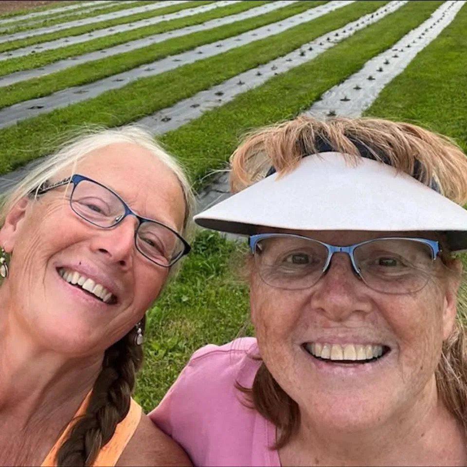 Lavender Fields at Maxwell Farm