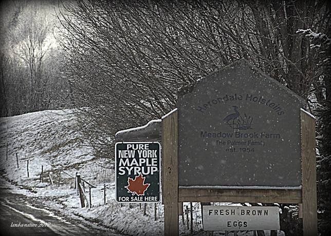 Meadow Brook Farm
