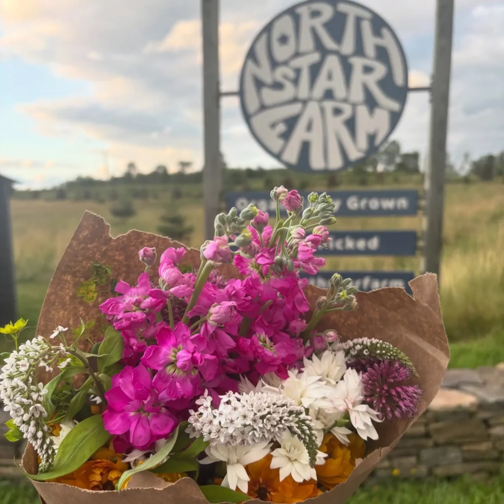 North Star Farm