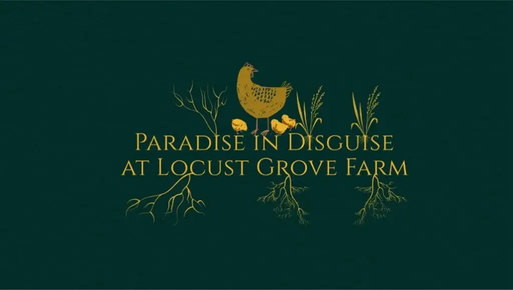 Paradise in Disguise at Locust Grove Farm