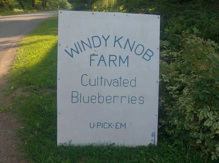 Windy Knob Blueberry Farm