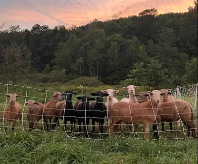 Tenfold Farm