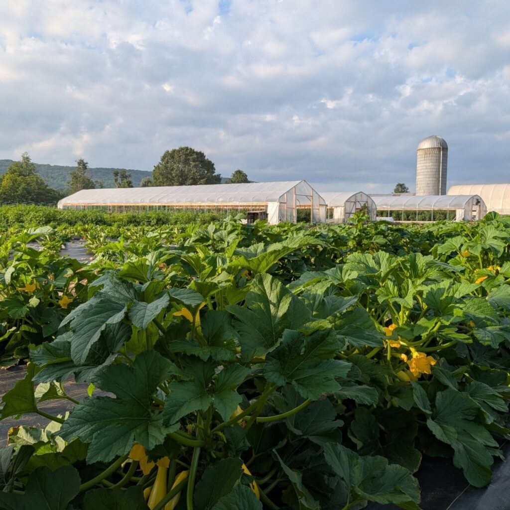 Covered Bridge Farm Market