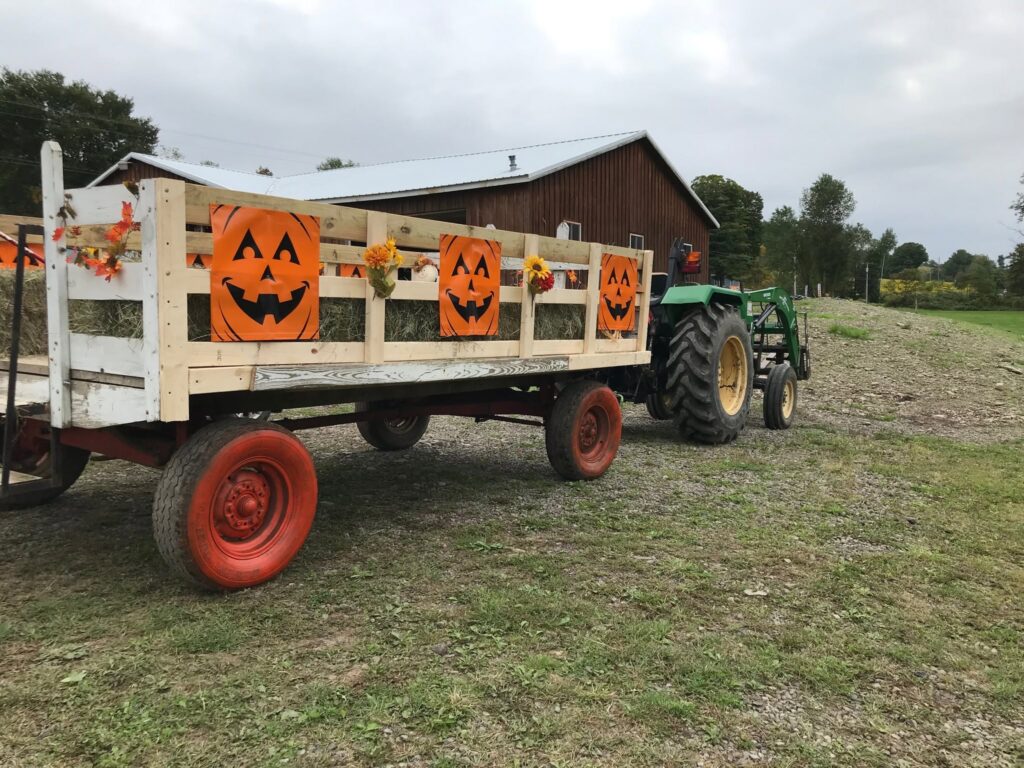 Terry View Farm